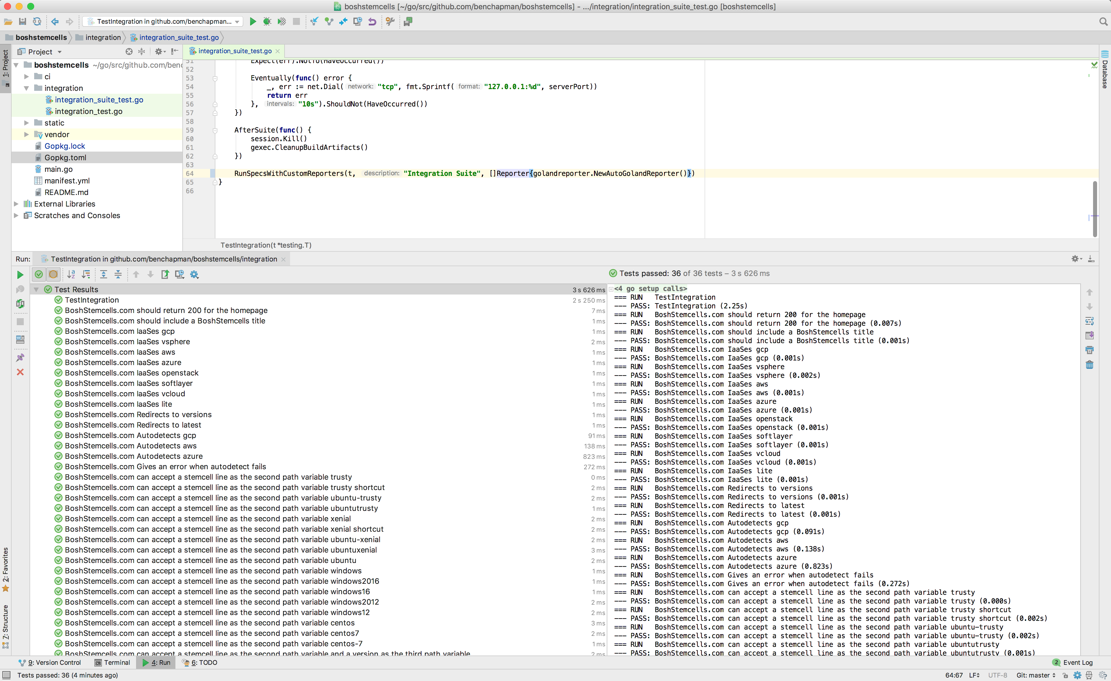 Ginkgo output in Goland's "Run" window